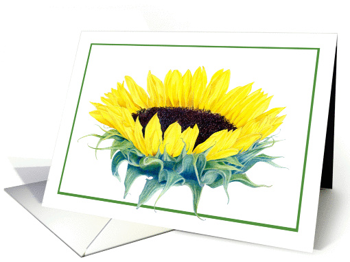 Floating Sunflower card (478036)