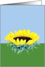 Floating Sunflower card