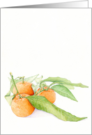 Clementine Oranges card