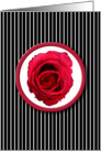 Red Rose Stripes card