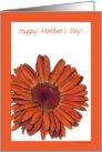 Happy Mother’s Day! card