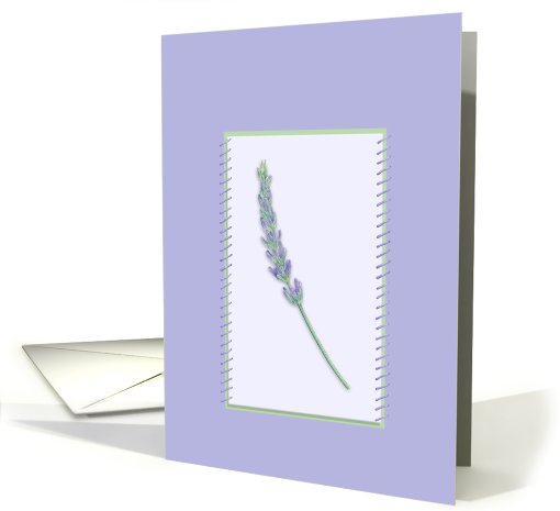 Lavender Sprig framed, blank note card (659555)