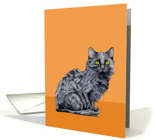 Black Cat orange card (689600)