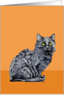 Black Cat orange card