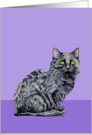 Black Cat purple card
