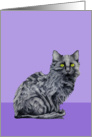 Black Cat purple card