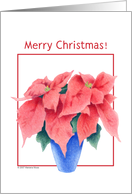 Poinsettia Merry...