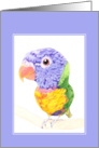 Colorful Bird card