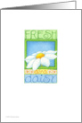 Fresh as a Daisy card