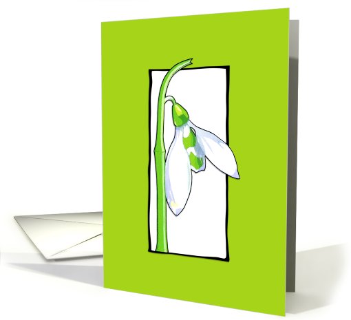 Snowdrop white card (773278)