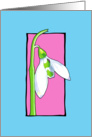 Snowdrop pink card