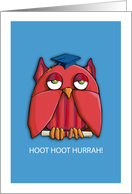 Red Owl aqua...