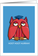 Red Owl aqua Graduation Congratulations Card