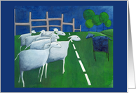 Sheep card