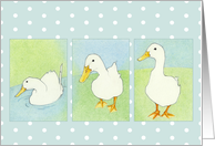 Three Ducks Dots card