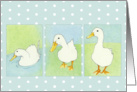 Three Ducks Dots card