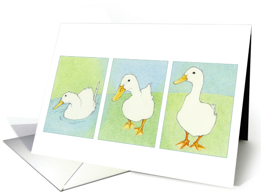 Three White Ducks card (94643)