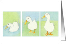 Three White Ducks card