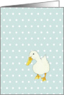 Duck Kiss Solo card