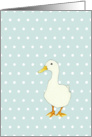 Duck Cool Solo card