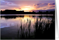Mauve Sunrise card