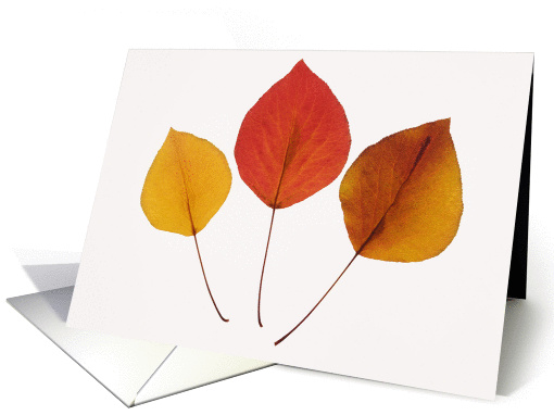 Happy Thanksgiving- Three Leaves card (262087)