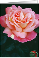 Breast Cancer- Self Exam Reminder (Pink Rose) card