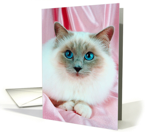 Breast Cancer- Self Exam Reminder (Cat On Pink) card (270757)