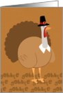 Silly Pilgrim Turkey card