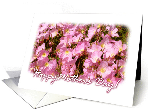 Siskiyou Pink Mother's Day card (52240)