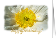 Happy Birthday Poppy card