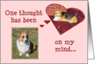 Murphy’s Valentine to Belle card