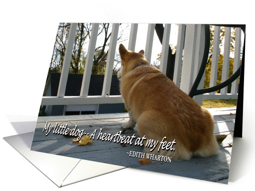 Canine Sympathy card (111960)