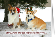 Corgi Christmas Card