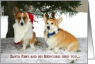 Corgi Christmas Card