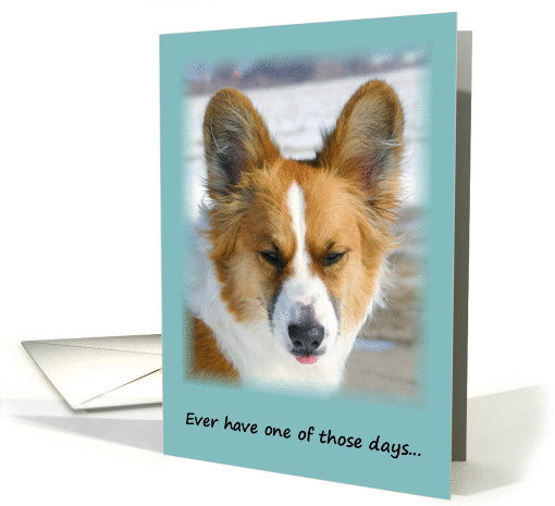 Encouragement Corgi card (294872)