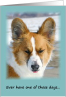 Encouragement Corgi Card