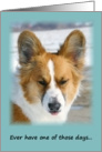 Encouragement Corgi Card