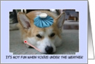 Get Well Corgi Card