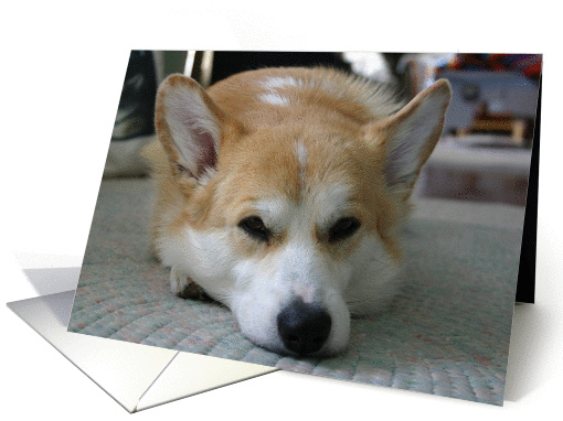 Welsh Corgi card (58438)