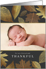 Blessed and Thankful Thanksgiving Holiday Photo Greeting card