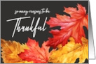 Thanksgiving Gratitude Watercolor Autumn Leaves card