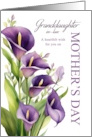 Mothers Day Granddaughter In Law Purple Calla Lily card