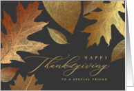 Happy Thanksgiving to a Special Friend Holiday Greeting card