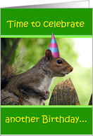 Birthday Squirrel card