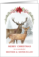 Christmas Brother and Sister In Law Winter Deer card