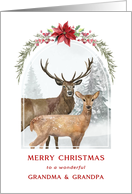 Merry Christmas Grandma and Grandpa Winter Deer card