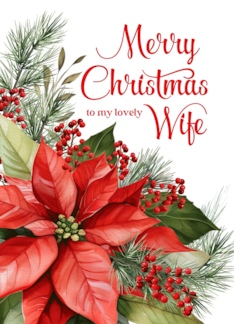 Wife Merry Christmas...