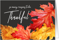 Thanksgiving Gratitude Watercolor Autumn Leaves card