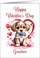 Happy Valentines Day Puppy for Grandson card